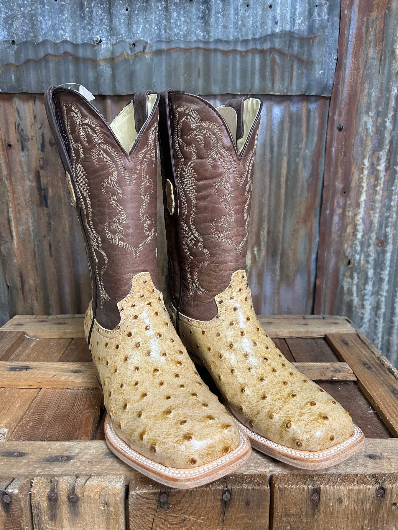 Cowtown Orix Ostrich Print Western Boot