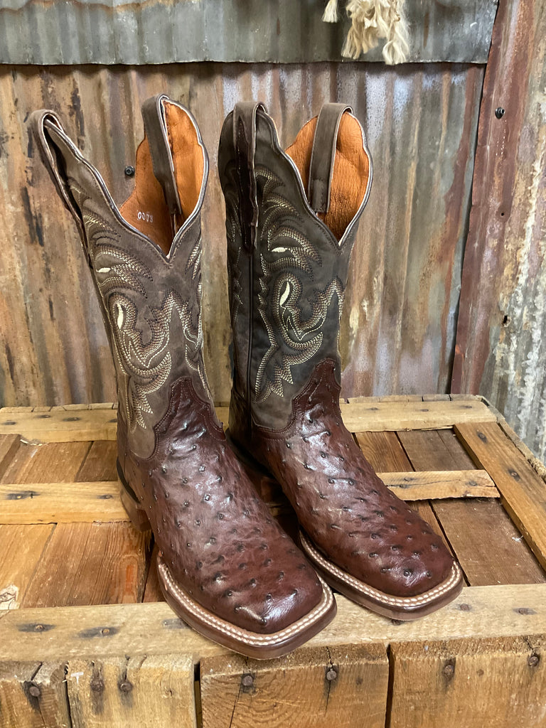 Dan Post Kylo Full Quill Ostrich Boot – Gilleys Western*Work  display picture 3